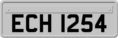 ECH1254