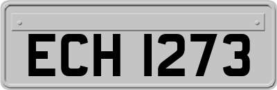 ECH1273