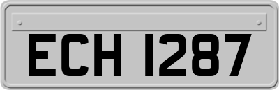 ECH1287