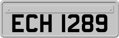 ECH1289