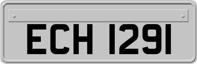 ECH1291