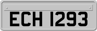 ECH1293