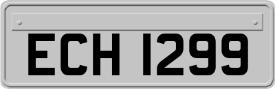 ECH1299