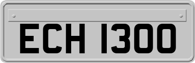 ECH1300