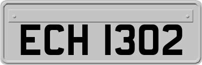 ECH1302