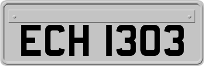 ECH1303