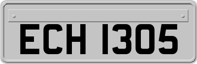 ECH1305