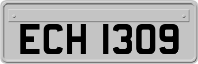 ECH1309