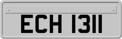 ECH1311