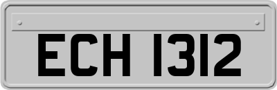 ECH1312