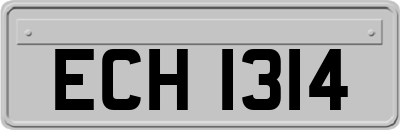 ECH1314