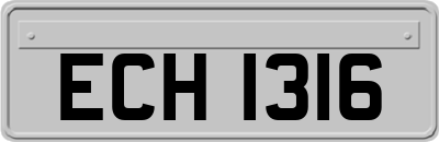 ECH1316