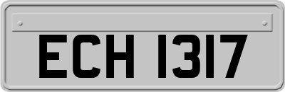 ECH1317