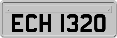 ECH1320