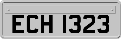 ECH1323