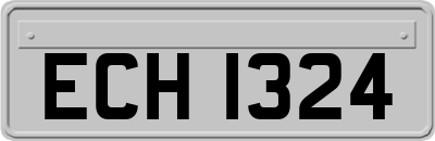 ECH1324