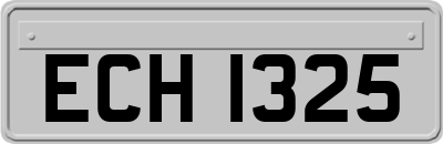ECH1325