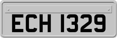ECH1329