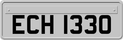 ECH1330