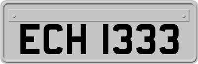 ECH1333