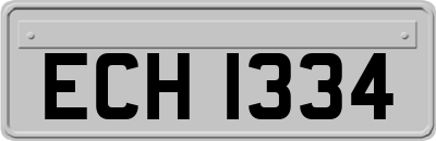 ECH1334
