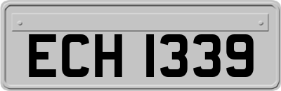ECH1339