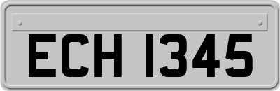 ECH1345