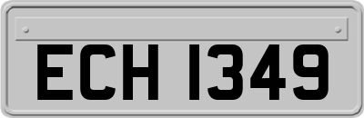 ECH1349