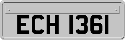 ECH1361