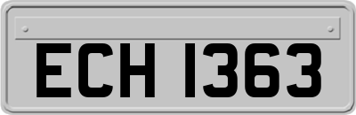 ECH1363