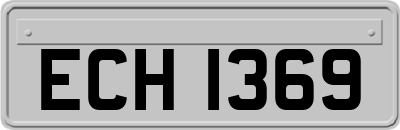ECH1369