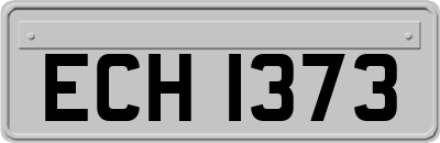 ECH1373