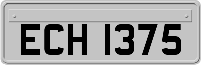 ECH1375
