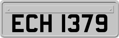 ECH1379