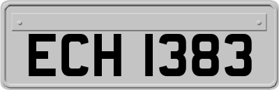 ECH1383