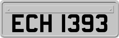 ECH1393