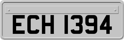 ECH1394
