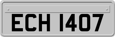 ECH1407