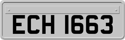 ECH1663