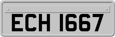ECH1667