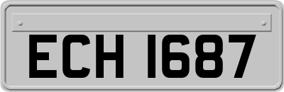 ECH1687