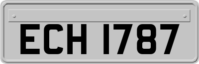 ECH1787