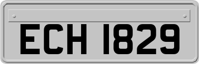 ECH1829