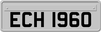ECH1960