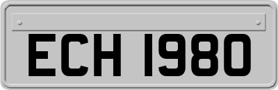 ECH1980