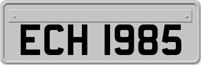 ECH1985