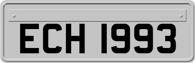 ECH1993