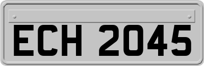 ECH2045