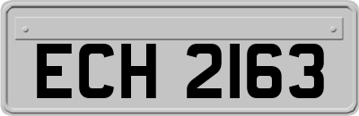 ECH2163
