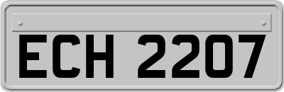 ECH2207